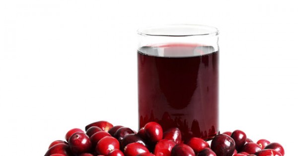 האנס שמטריד את עיריית חיפה בכלל מגיע מאילת