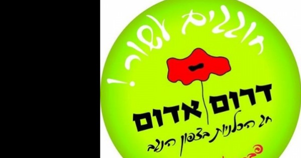 עשור לפסטיבל דרום אדום 2015
