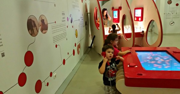 מוזיאונים: 5 אופציות לבילוי משפחתי