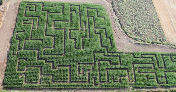 זמן טיול: 5 הצעות בילוי בחול המועד