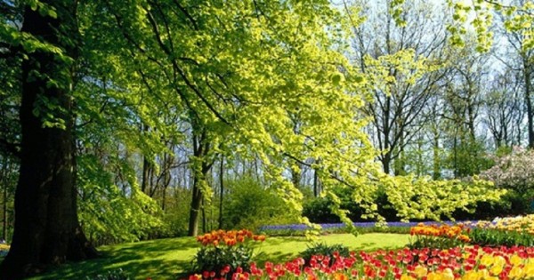 חג הפסח: זמן לנקות את הנפש