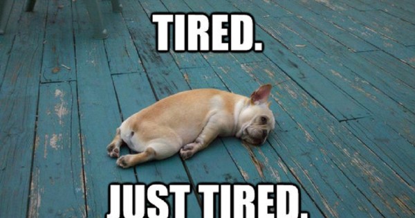 עמוד הפייסבוק שכל אמא טרייה תזדהה איתו