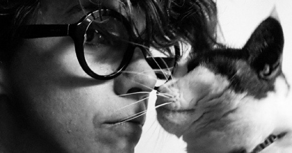 האושיה: דפנה טלמון