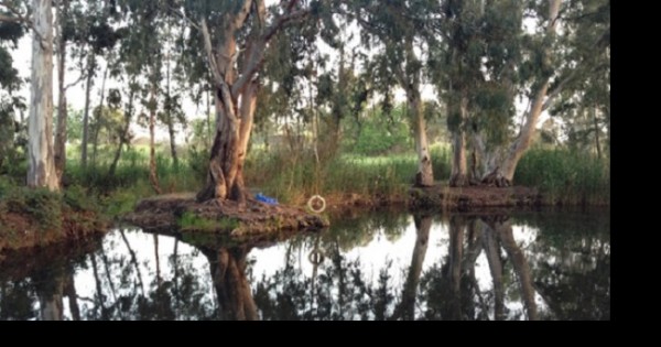 5 מסלולים לכל המשפחה