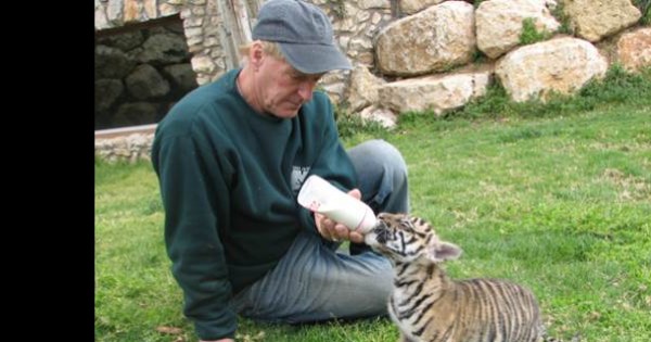 פסח: טיול משפחות ליום אחד