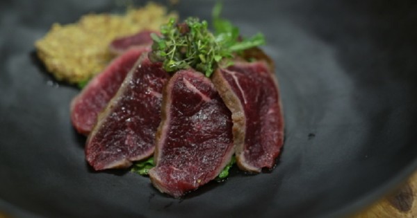 טאטקי סינטה: מנת סינטה לצד מחית חרדל וסלט עלים