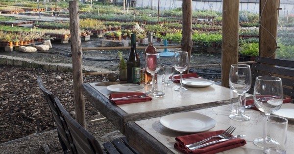 המסעדה שהיא לא רק אוכל אלא גם אווירה