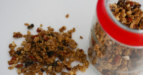 גרנולה פירות יבשים בטעם חלבה