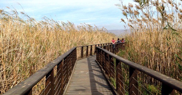 נוסעים לצפון בפסח? 5 טיולים מומלצים לטיול עם ילדים