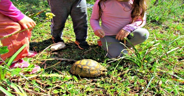 5 טיולי חורף לכל המשפחה