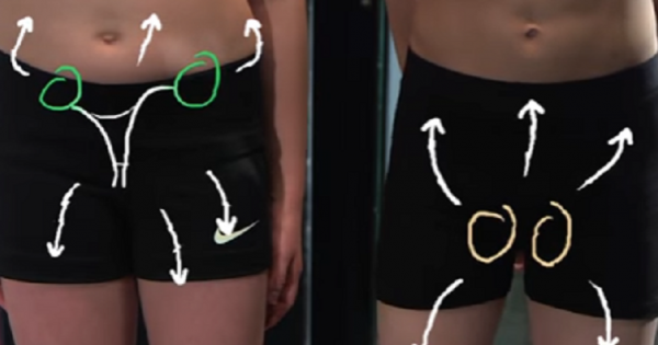 שיעורי החינוך המיני לא ילמדו את הילדים שלכם מה זה סקס