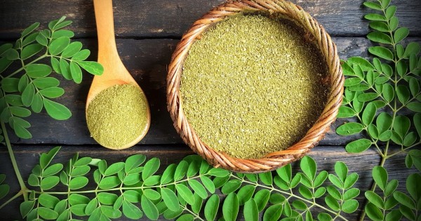 צמחי המרפא שיסייעו לכן בתהליך ההנקה