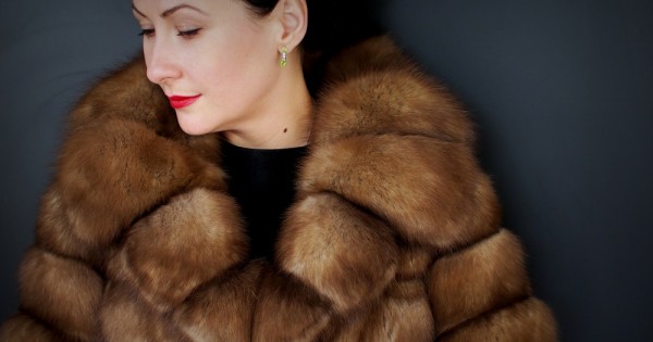 מדוע חוק הפרוות לא עובר בכנסת?