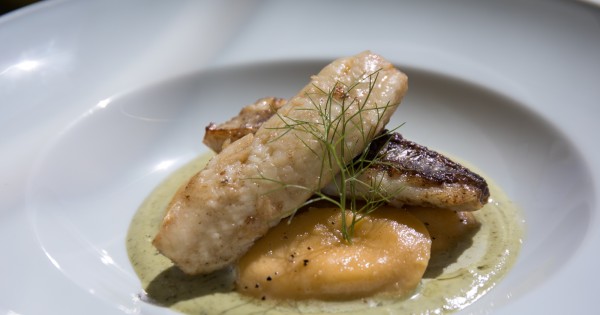 פילה דניס על רביולי גבינה וקרם שמנת פסטו