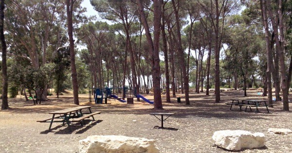 5 מקומות מומלצים לפיקניק בטבע