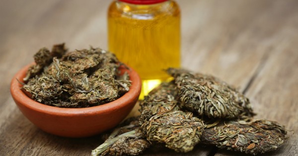 "האובר של הגראס": הכירו את סטארט-אפ הקנאביס הממומן ביותר בעולם