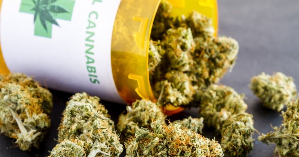 מחקר ישראלי-גרמני: צריכת קנאביס מעכבת את הזדקנות המוח