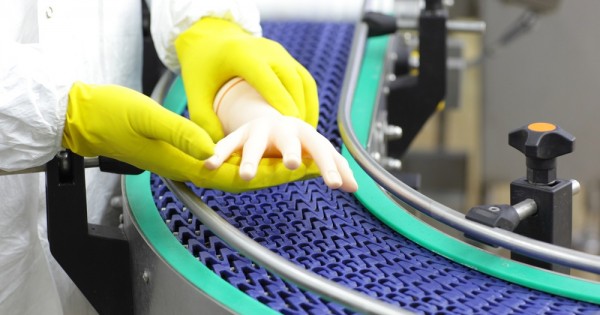 גידול איברים במעבדה והדפסה תלת מימדית: הצצה אל רפואת העתיד