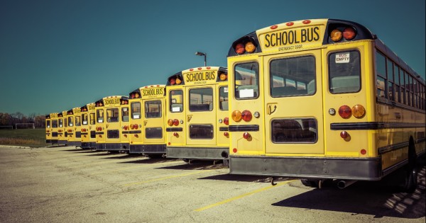 נהג האוטובוס שמירר את חיי כל הדרך לבית ספר