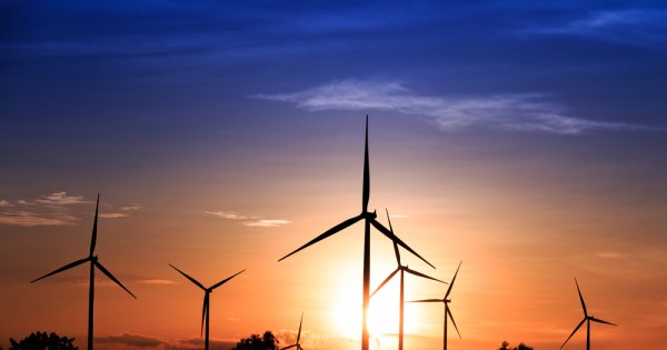 להפסיק להיות דון קישוט של כולם