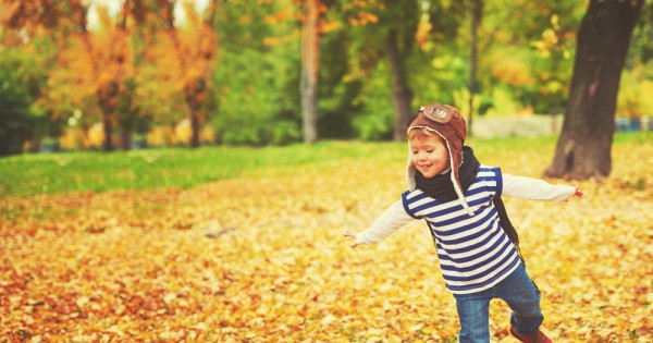 אמאל'ה ראיתי עץ!