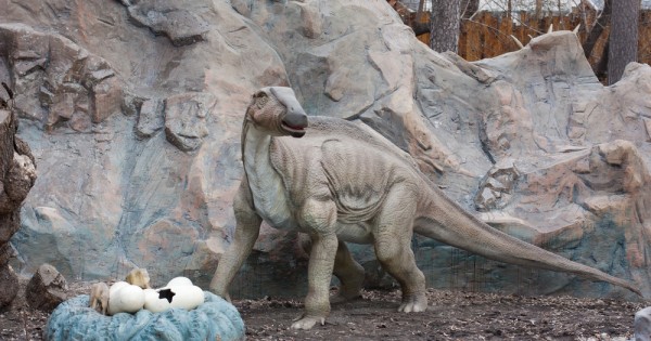 אבות אבותינו: האם דינוזאורים זכרים טיפלו במסירות בצאצאיהם?