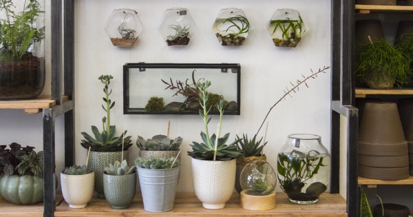 הפרח בגני: חנות הפרחים שמכניסה את הטבע לעיר