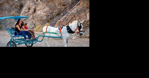 אילת: 5 אטרקציות לחופשה עם ילדים