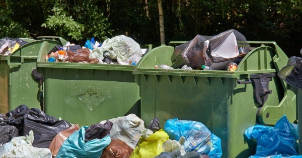 מדוע הממשלה לא לוקחת אחריות על כמויות המזון העצומות שנזרקות בישראל?