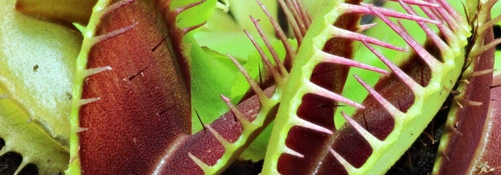 4 דברים שקורים לווגינה כשאת לא משתמשת בה