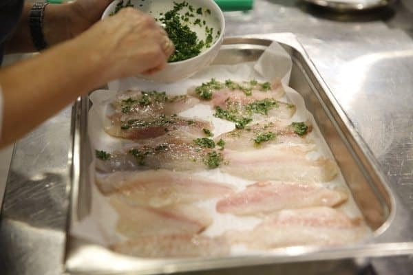 צילום: אורן כהן