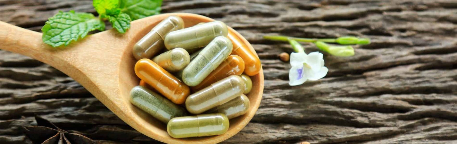 צמחי מרפא לטיפול בבעיות רפואיות שכיחות