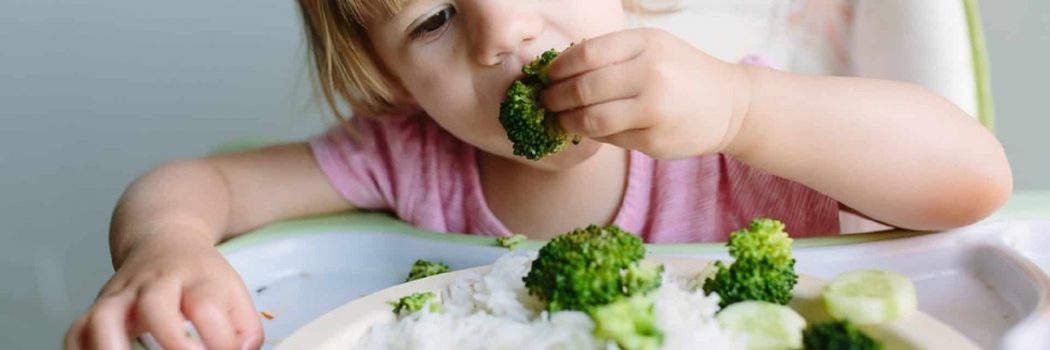 האם הורים שמגדלים את ילדיהם כטבעונים רק עושים להם נזק? תלוי את מי שואלים