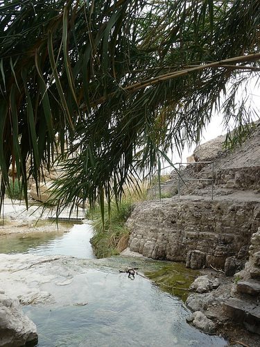 נחל דוד. צילום: ויקיפדיה