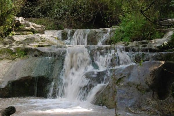 נחל השופט. צילום: פינטל (ויקיפדיה)