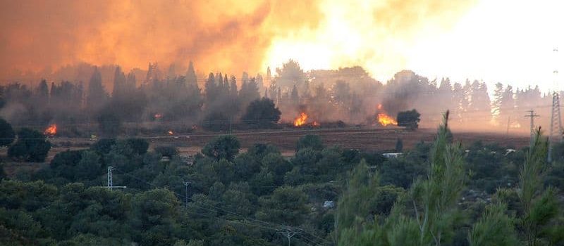 האסון בכרמל