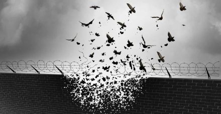 פרשת השבוע: פרשת וארא בגרסת ימינו על שעבוד וחירות