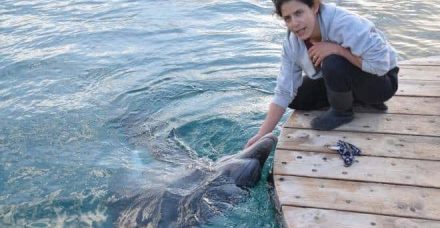 7 סיבות מצויינות להגיע לאילת דווקא בחורף