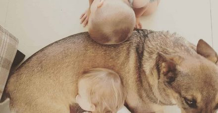 יום המשפחה: לאמהות חד הוריות היה יותר קל אם היינו נשארים עם יום האם