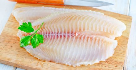 דגים טריים: 5 סיבות טובות להעדיף רק אותם