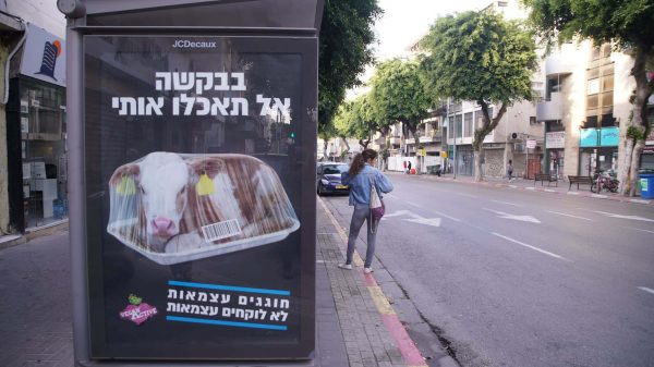 מנגלים נטולי בשר ביום העצמאות- זה אפשרי?