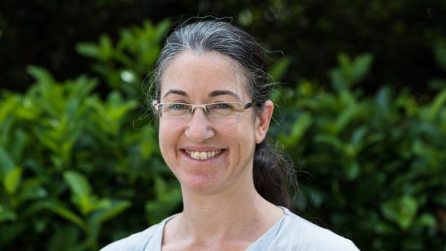 תמונת משתמש