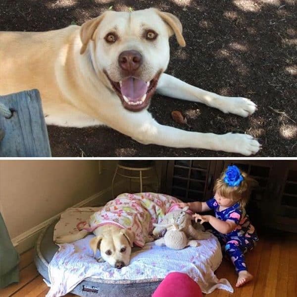 לפני ואחרי הורות