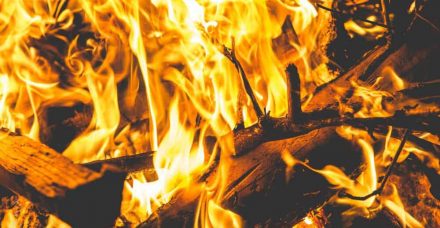 כשהאש הציתה את קבוצות הוואטסאפ של ההורים