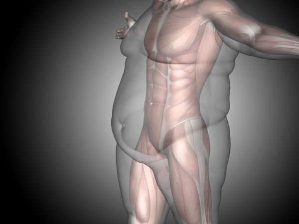 עליית מסת הגוף היא תוצר ישיר של השמנה. צילום: Shutterstock