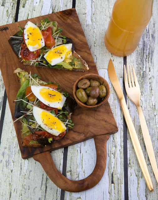 חמנייה. צילום: שי נייבורג