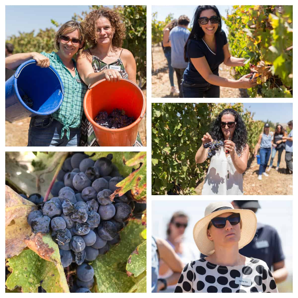 צילום:בני גם זו לטובה 