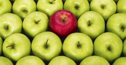 מה הרכיבים שממש כדאי שיהיו במזון שלכם?