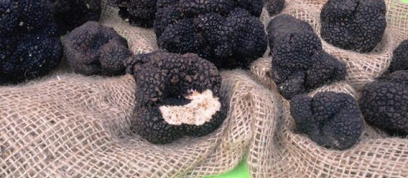 קוסמטיקה טבעית