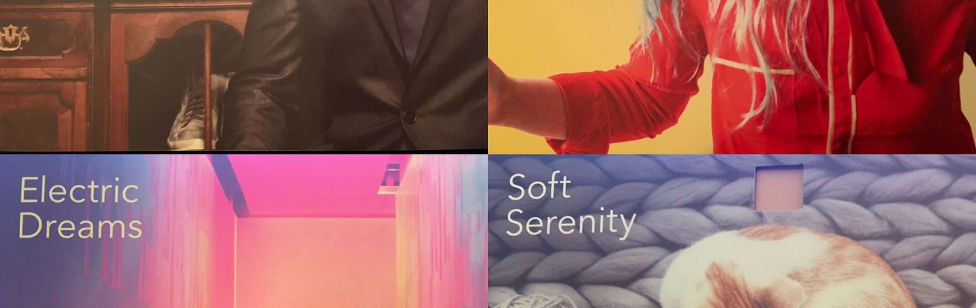 אז מי אתם, טראמפ או נטע?